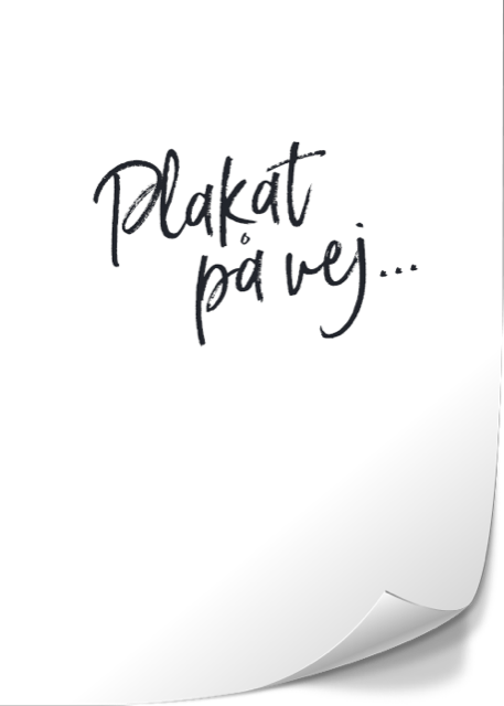 Jack Johnson: SURFILMUSIC